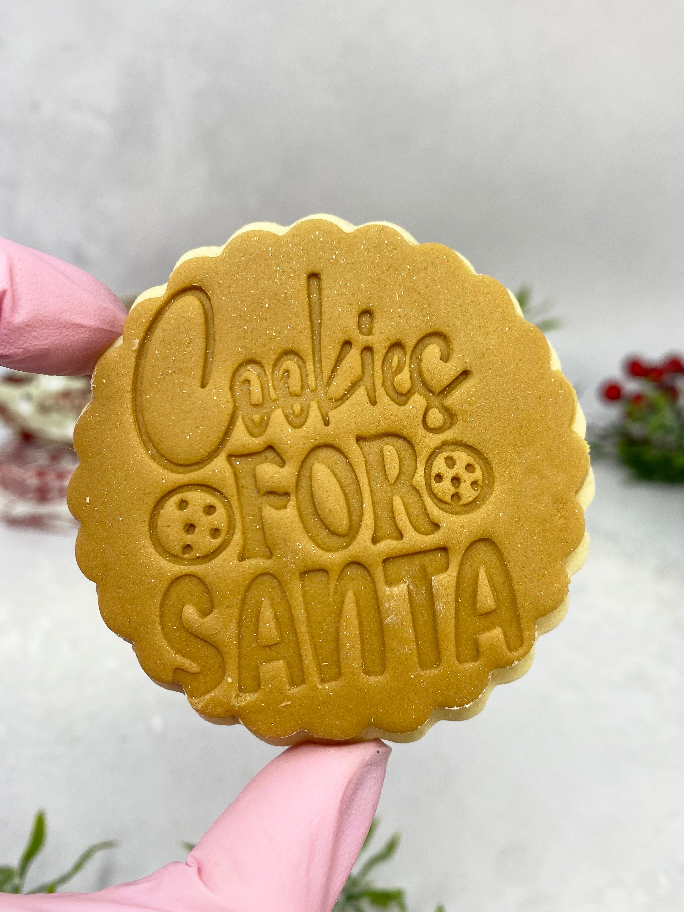 Cookies for santa